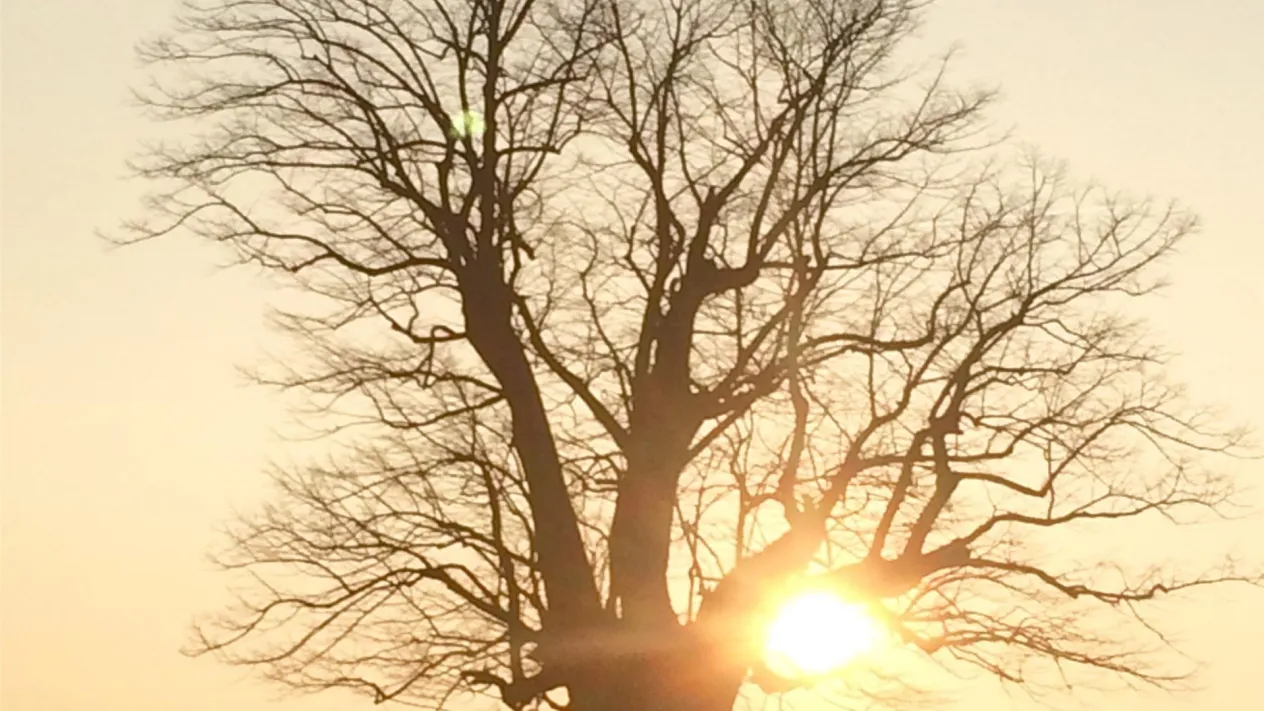 IMG_4546 (Foto: Daniel Engler) IMG_4546 (Foto: Daniel Engler)