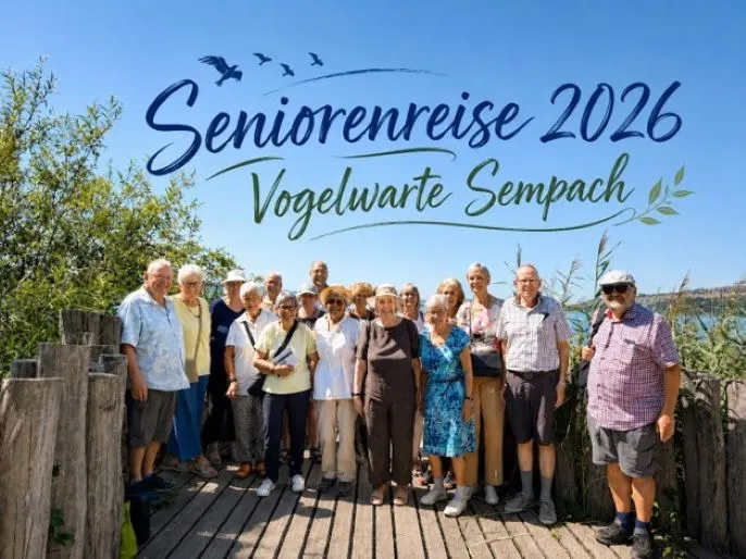 Seniorenreise Vogelwarte Grösse neu Seniorenreise Vogelwarte Grösse neu